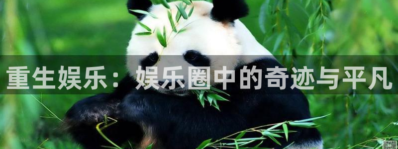 太阳成集团tyc9728：重生娱乐：娱乐圈中的奇迹与平凡