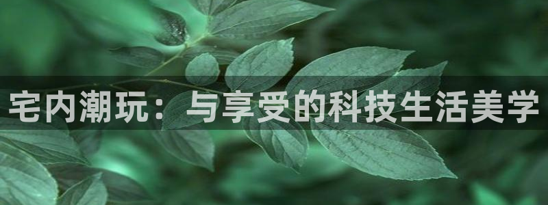 太阳成集团tyc9728：宅内潮玩：与享受的科技生活美学