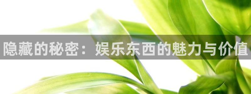 太阳成集团tyc9728：隐藏的秘密：娱乐东西的魅力与价值