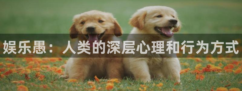 太阳成集团tyc9728：娱乐愚：人类的深层心理和行为方式