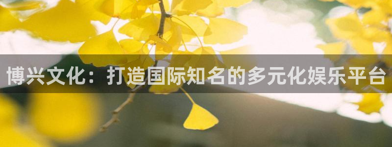 太阳成集团tyc9728：博兴文化：打造国际知名的多元化娱乐平台