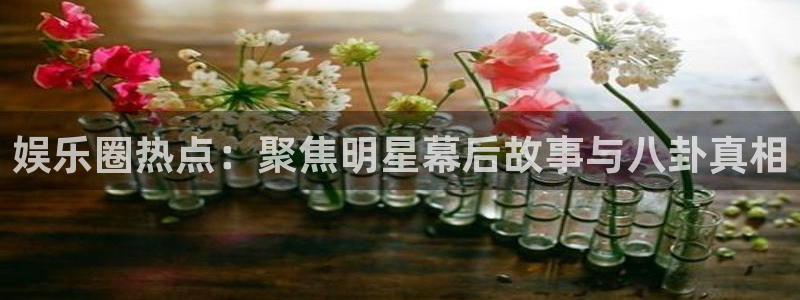 太阳成集团tyc9728：娱乐圈热点：聚焦明星幕后故事与八卦真相