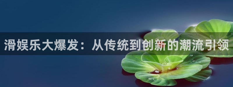 太阳成集团tyc9728：滑娱乐大爆发：从传统到创新的潮流引领