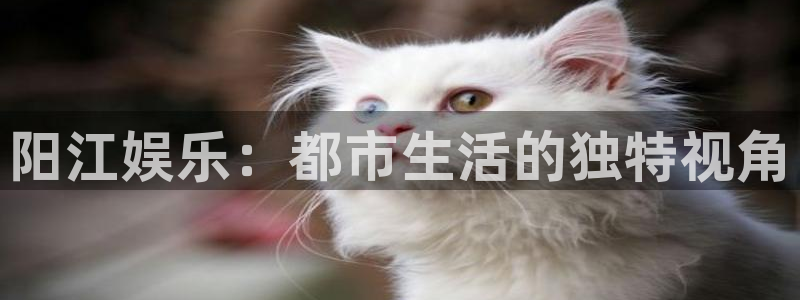 太阳成集团tyc9728：阳江娱乐：都市生活的独特视角